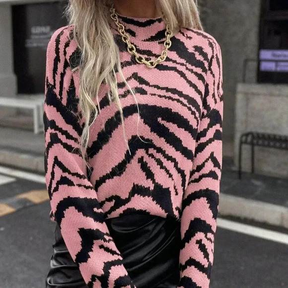 Multicolor Casual Women's Zebra Pattern Batwing Sleeve Pullover Sweater - Picture 1 of 7